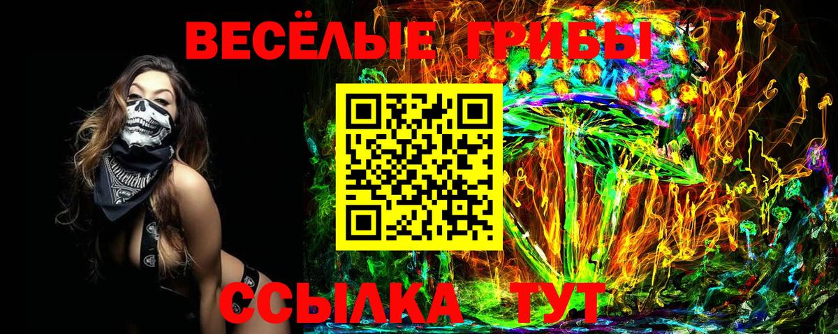 Ижевск  Галлюциногенные грибы Cubensis  Вход с VPN 
