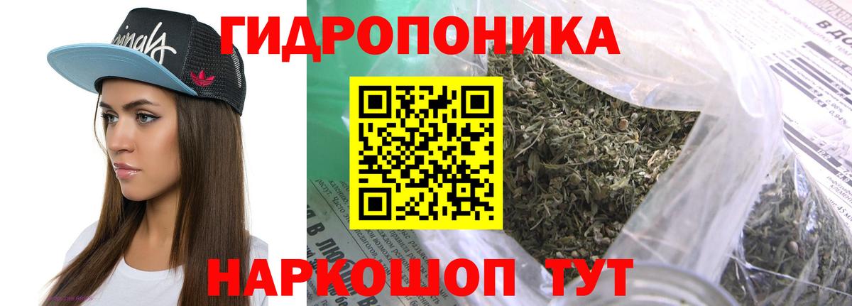 Шишки марихуана White Widow  Канабис конопля  Марихуана MAZAR  Ижевск  МАРИХУАНА SATIVA & INDICA  Вход с VPN 